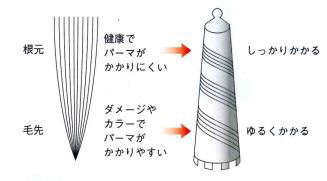 円すいロット